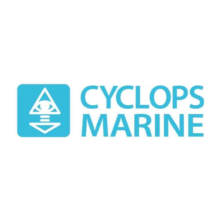 Cyclops Marine Lastsensor 'smartlink² Nano' – Bild 6